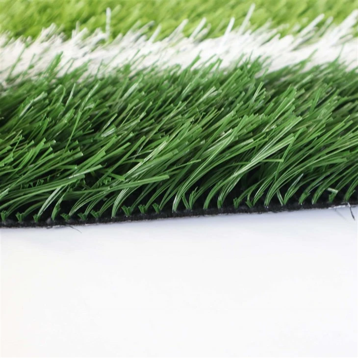 Football Turf Grass
