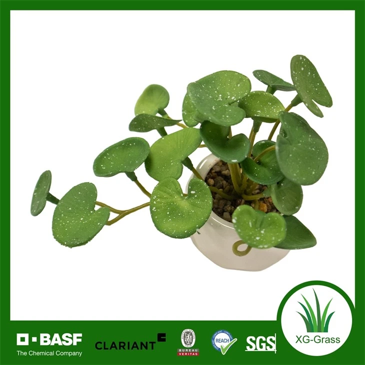 Xingu Realistic Faux Succulent Arrangements For Indoor And Outdoor Spaces suppliers