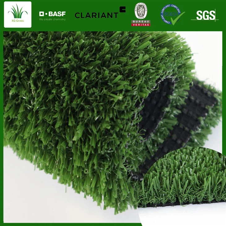 Зелена фудбалска трава