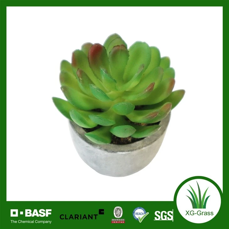 Xingu Realistic Faux Succulents suppliers